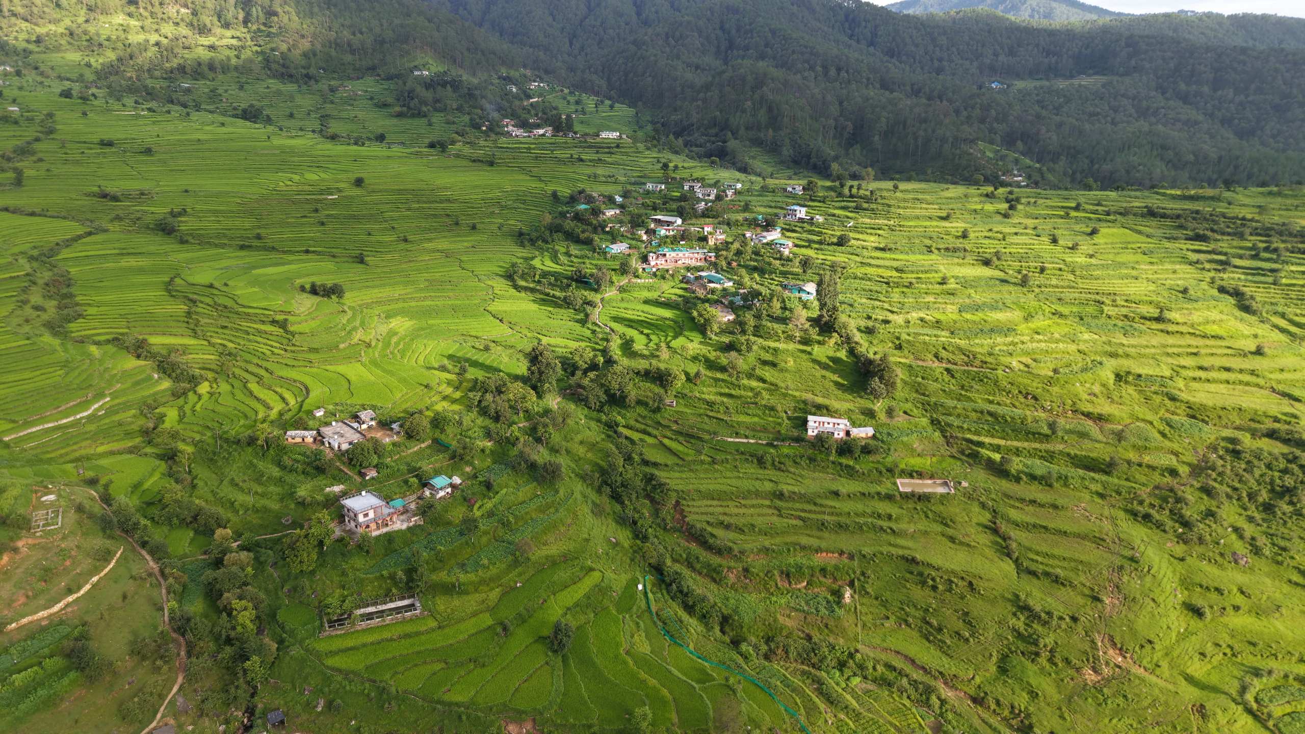 ग्राम गैरी गैरी, बैणा