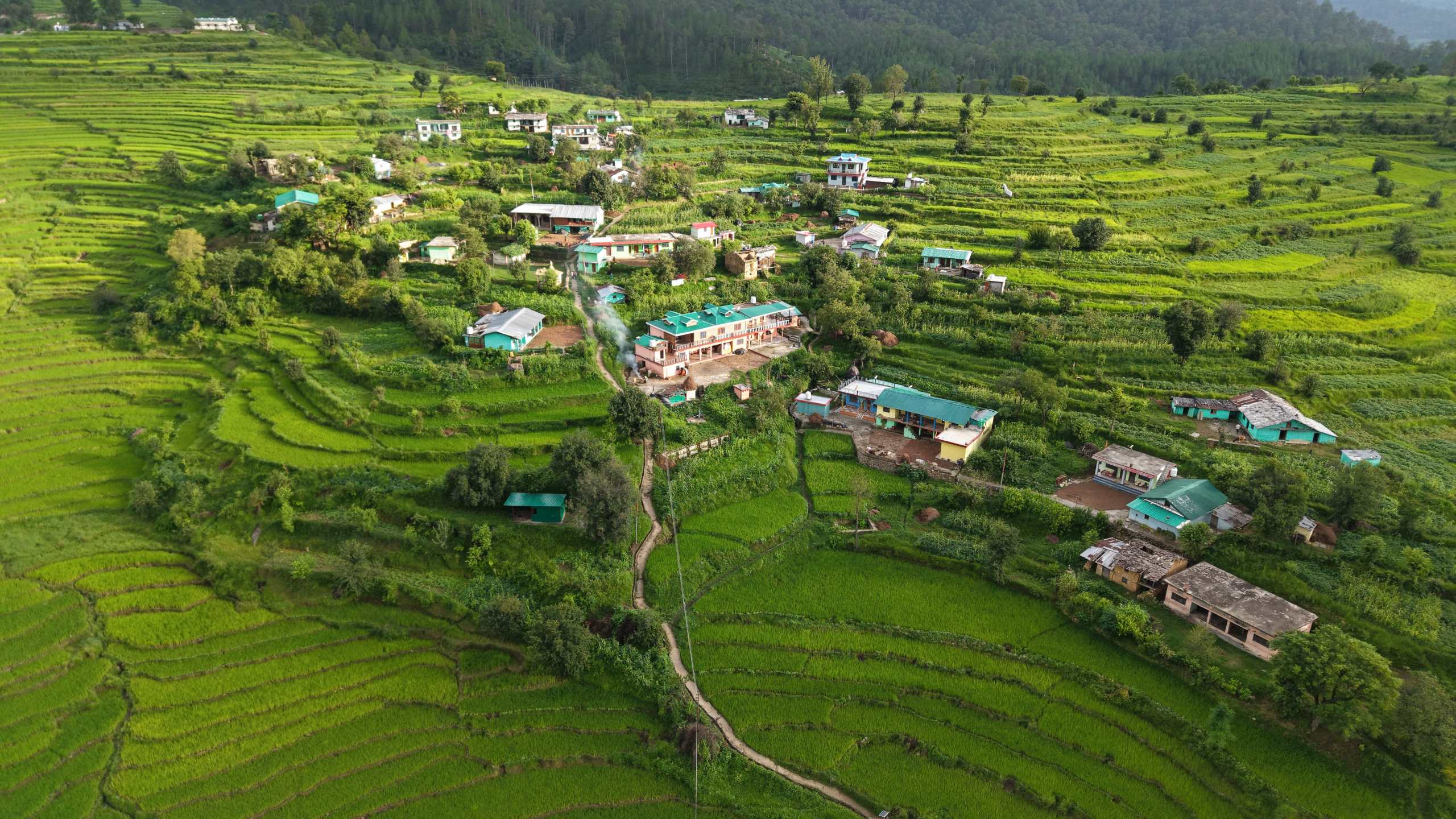 समिति सदस्य