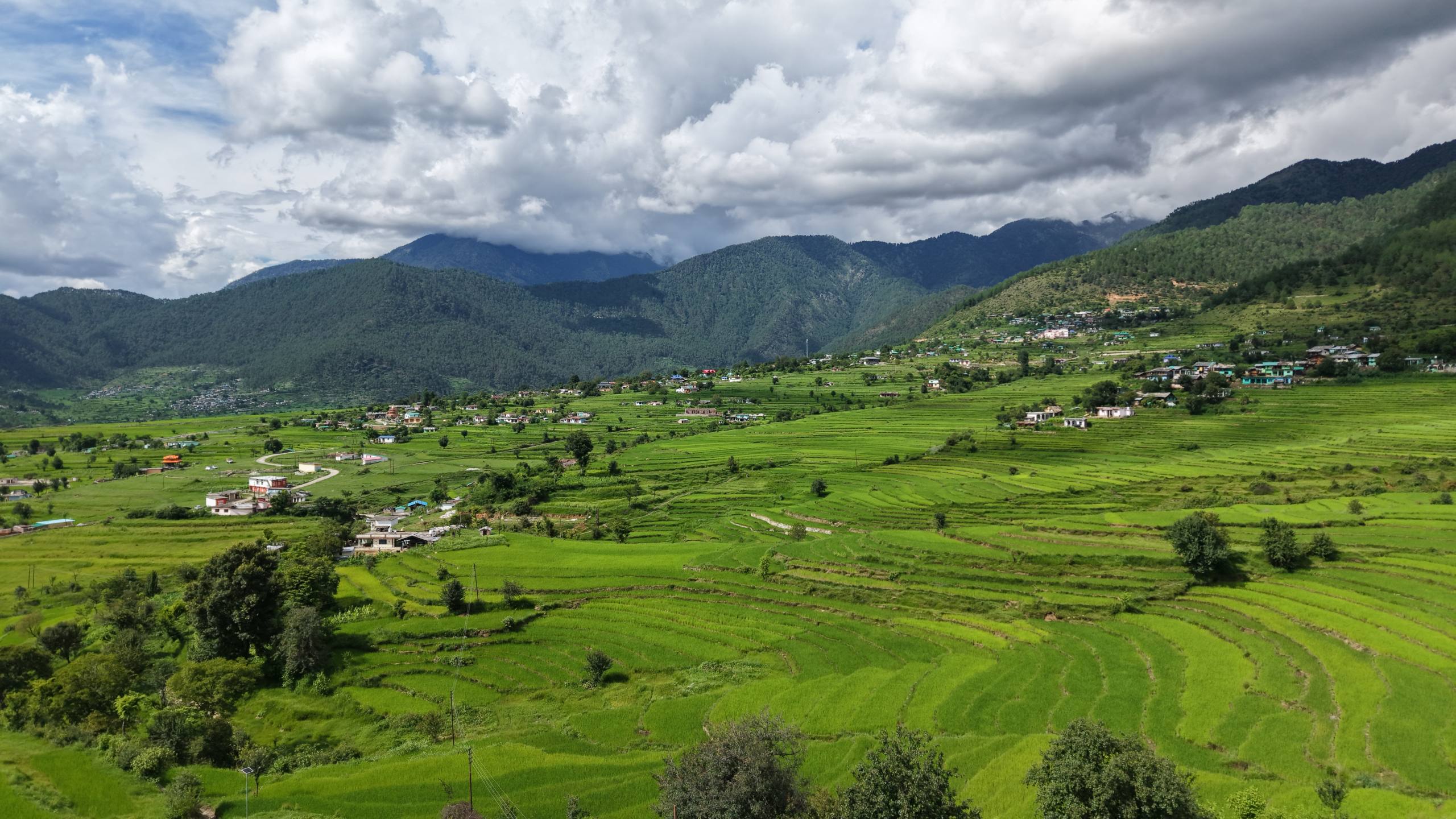 सामाजिक सेवा